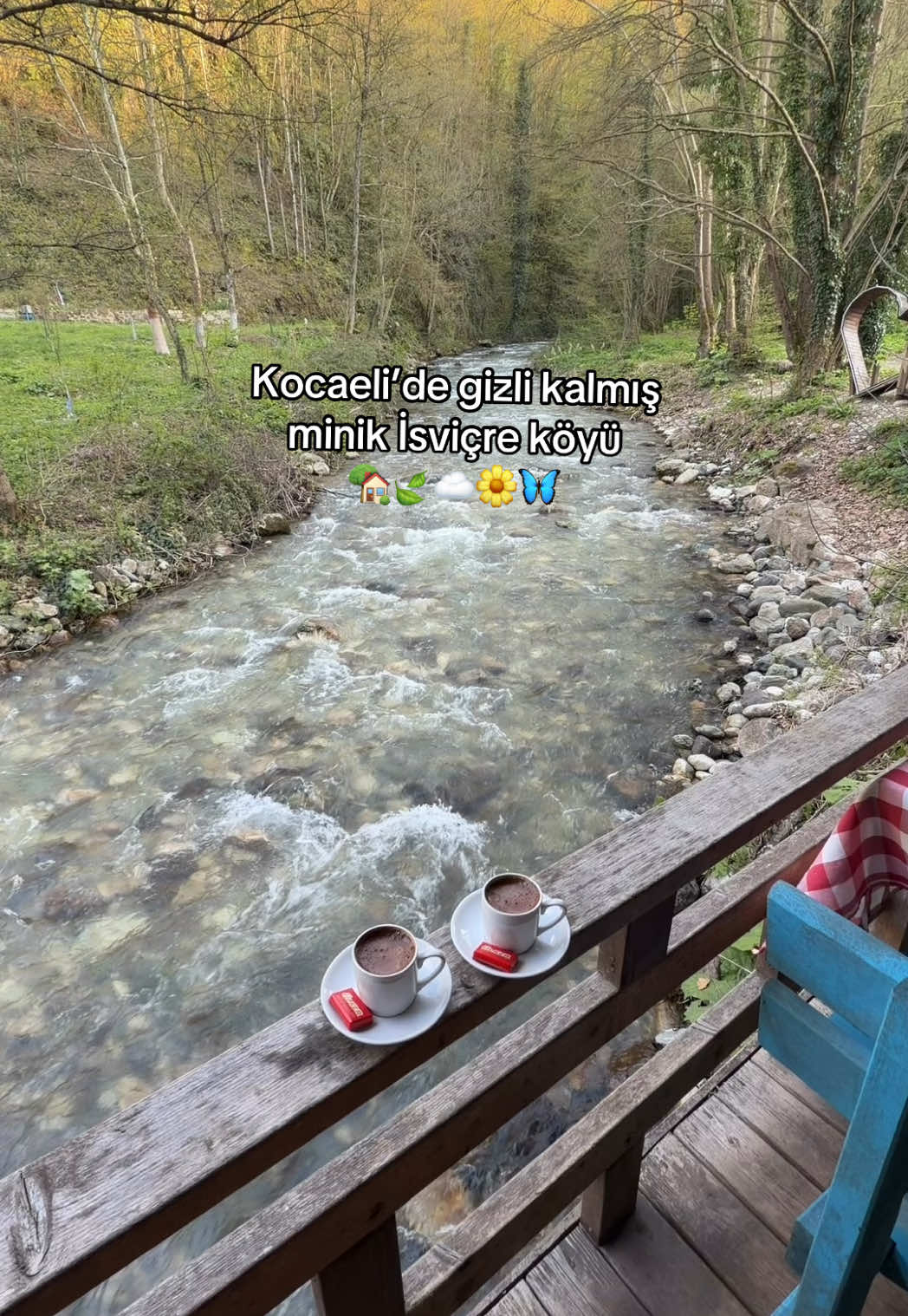@s&uuml;meyra &ccedil;alık