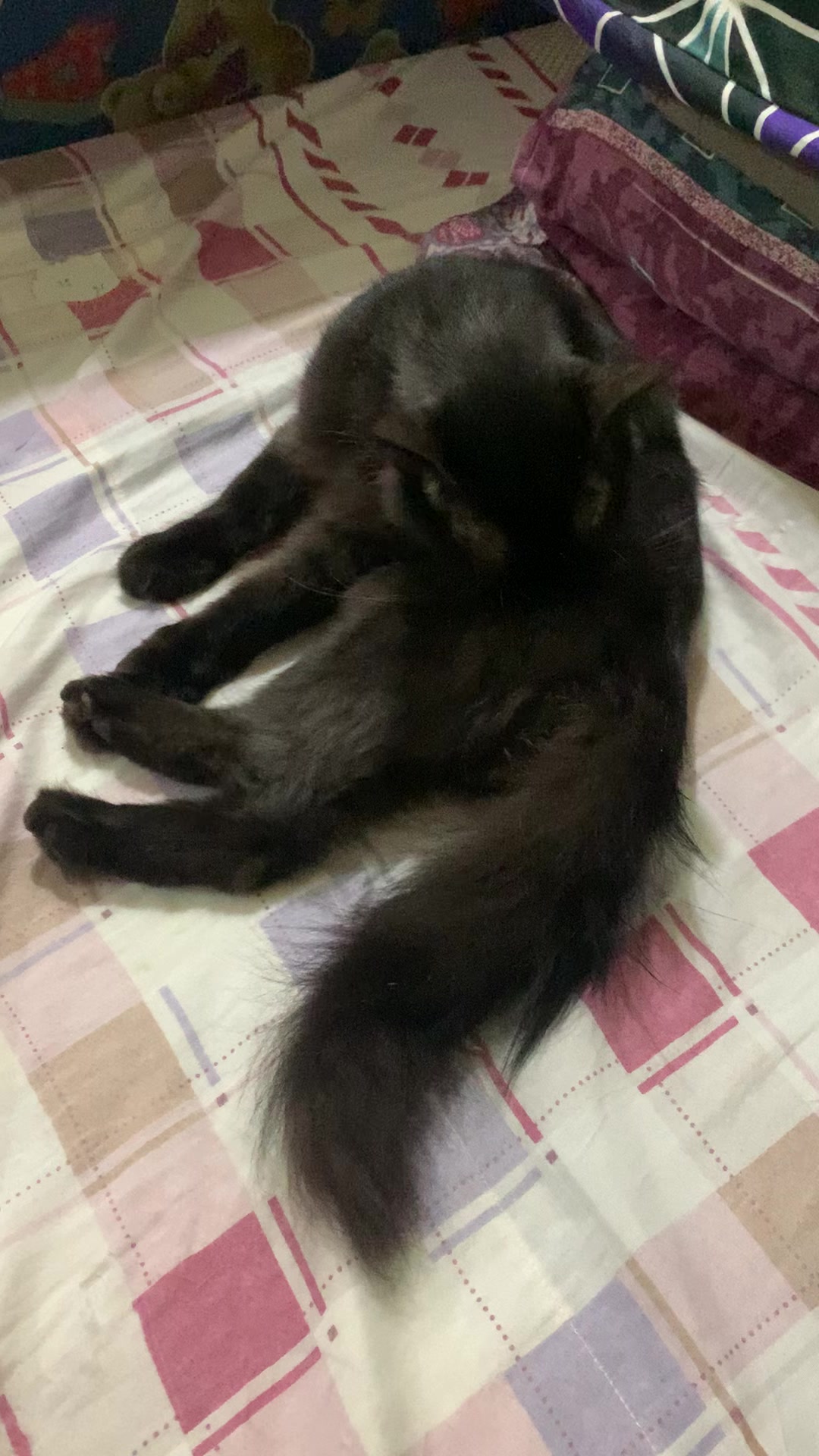 @Mary Jane Seguban Sa