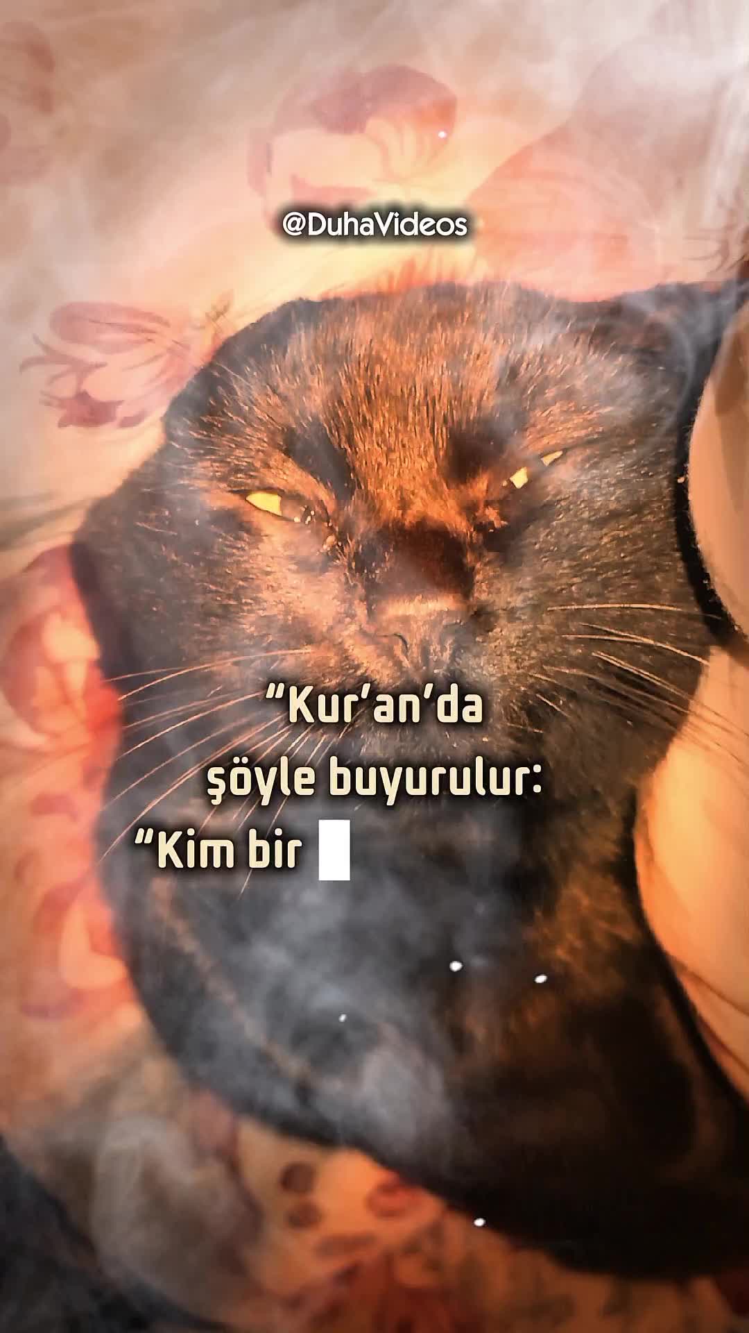 @Duha Videos - İslâm Âyet Hâdîs