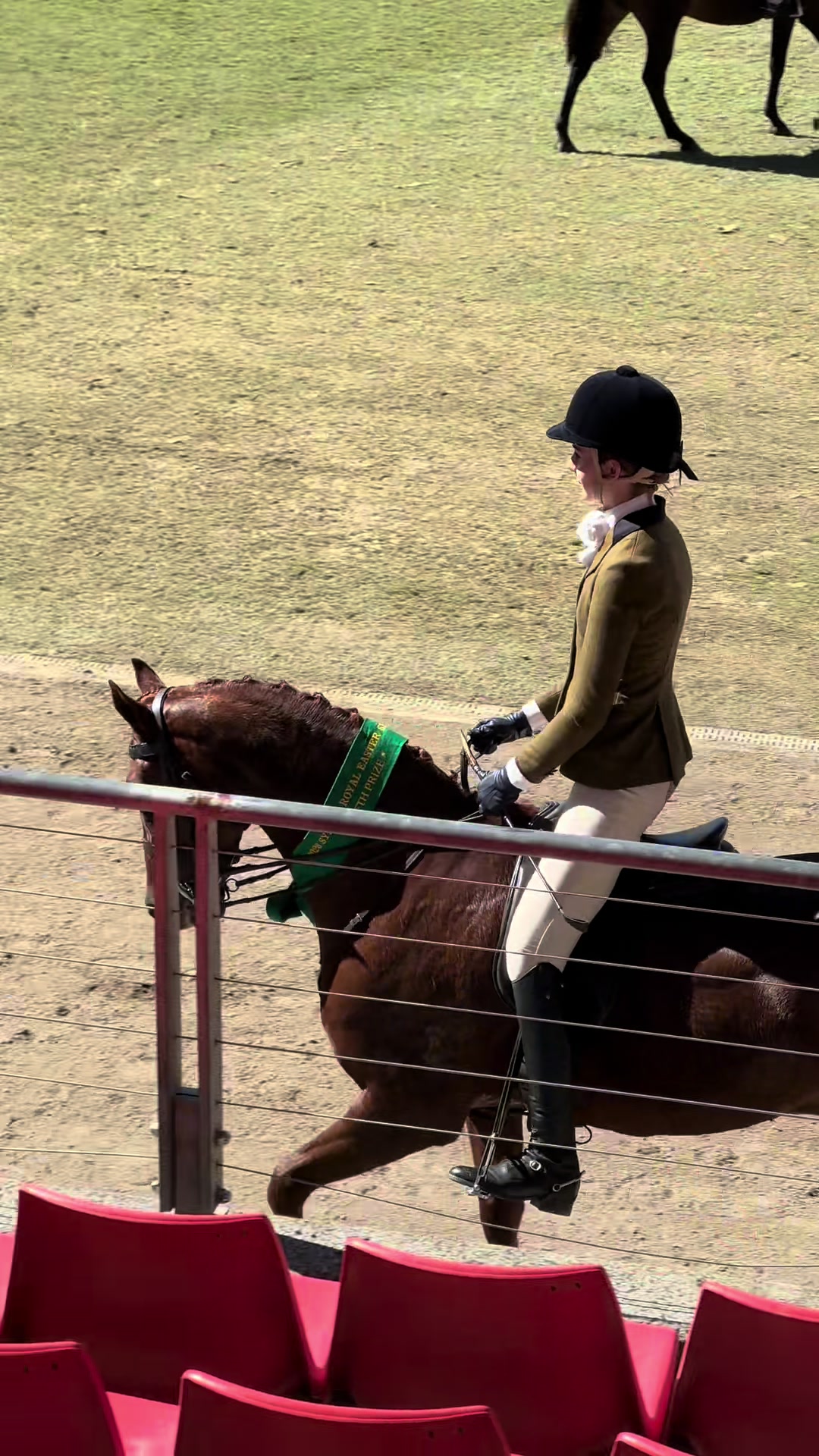 @AR show horses