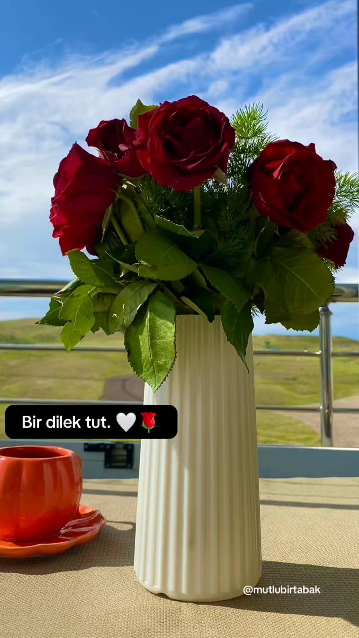 @mutlubirtabak