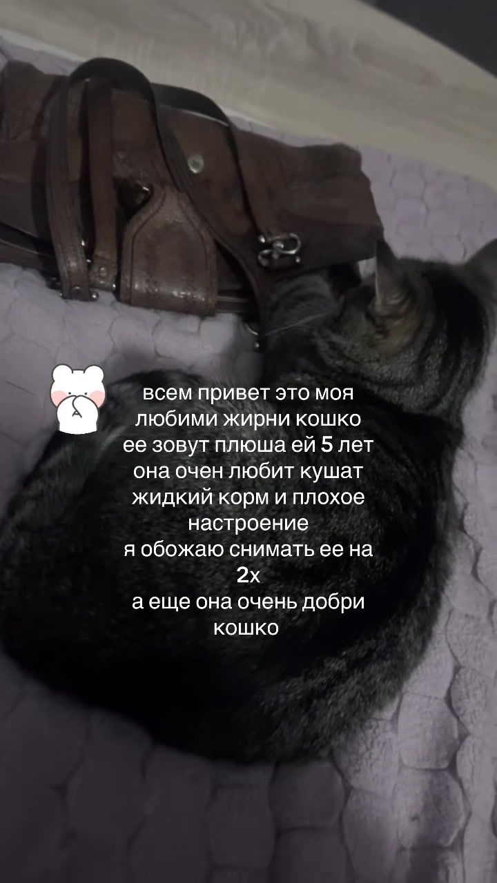 @таша спрунки 228