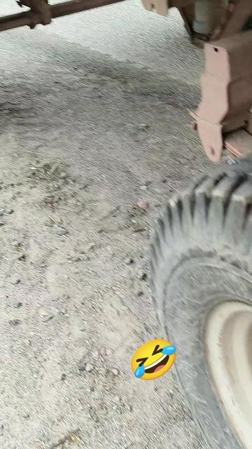 @Агро Joker 🐯