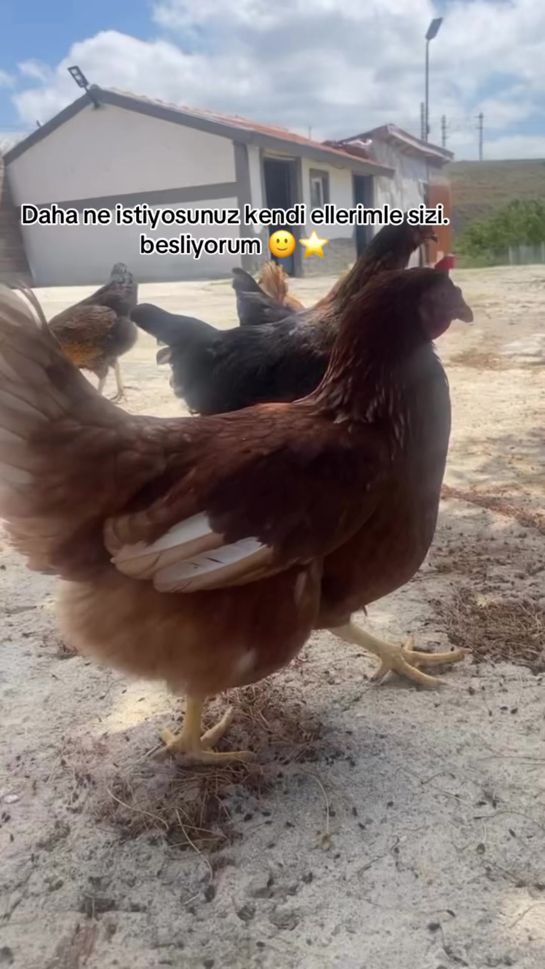 @nuray erkoç⭐️