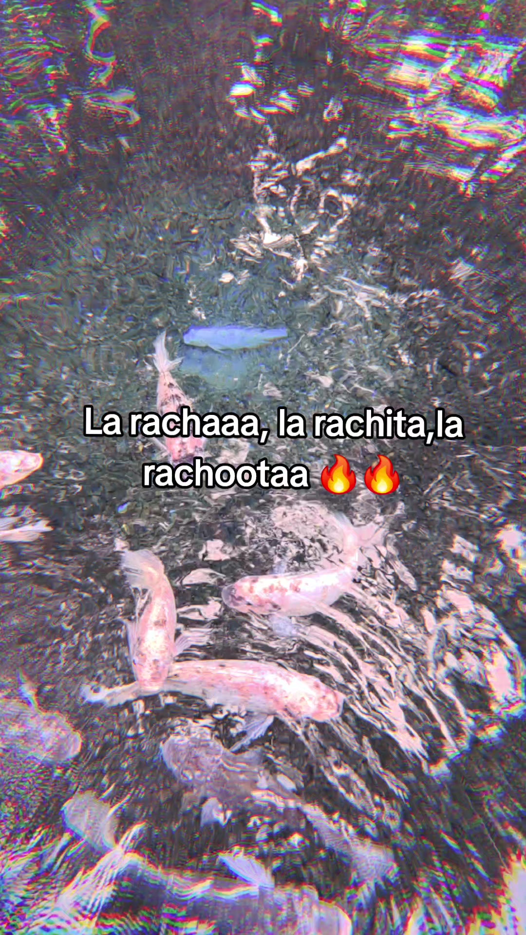 @🫧Fany🫧