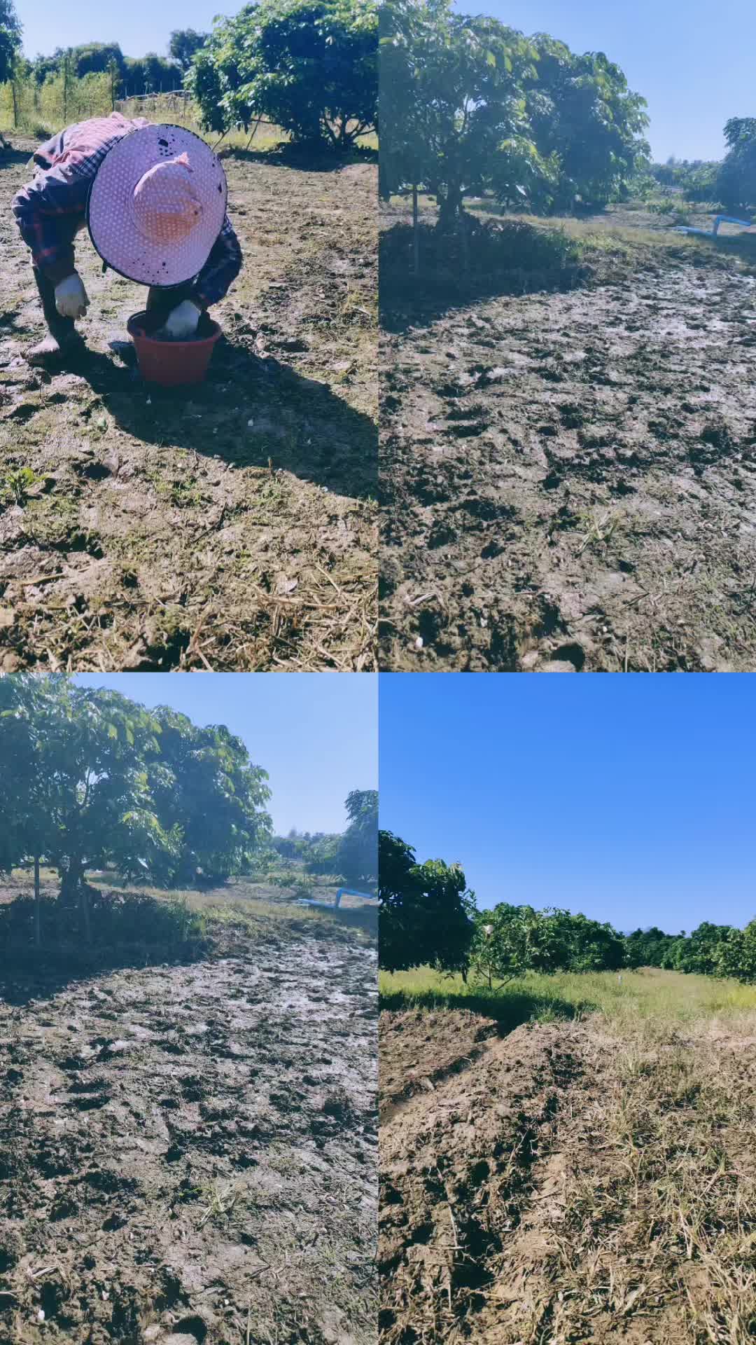 @milkmanu