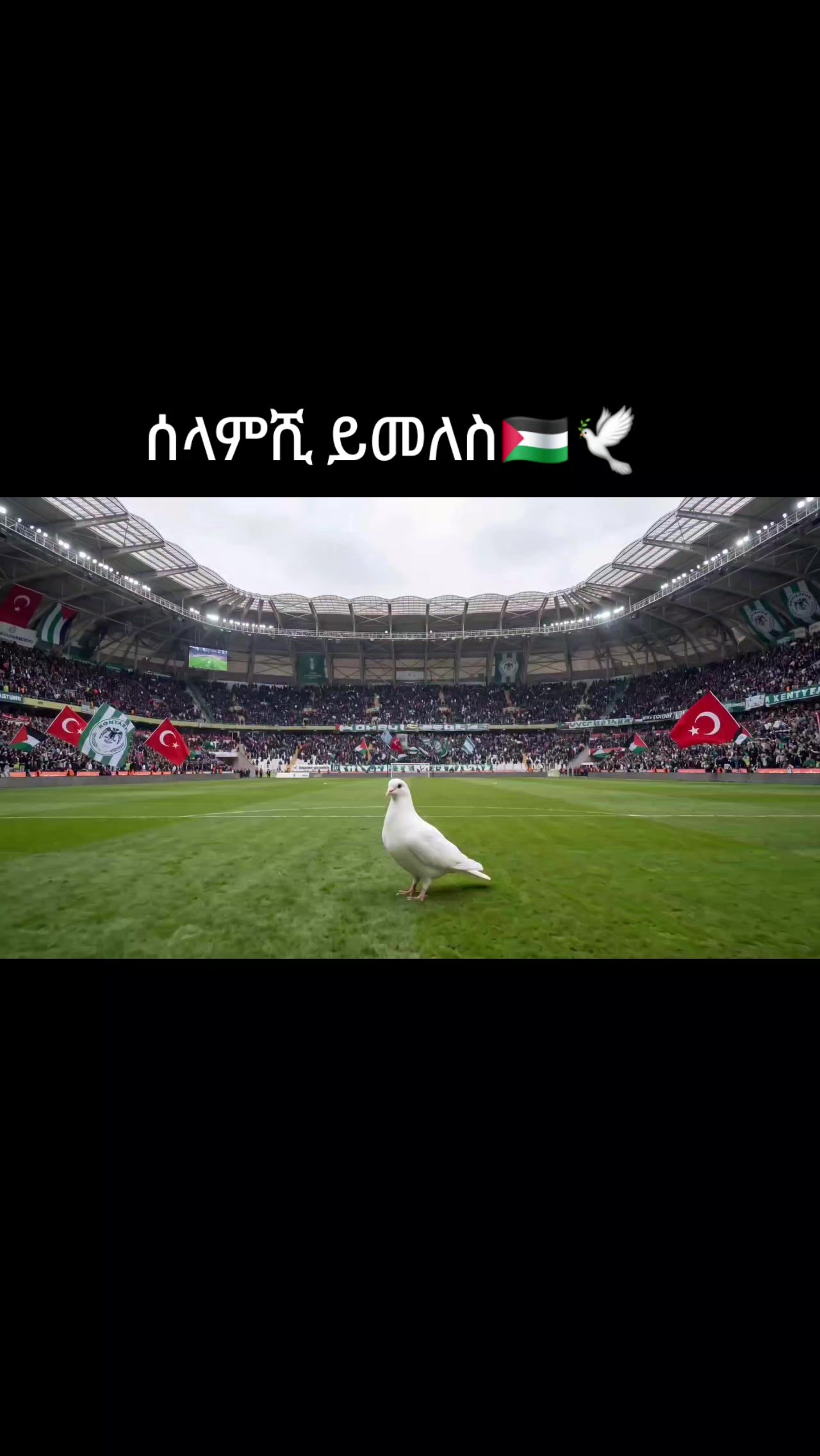 @Aylin🧕❤️wolloyewa🇵🇸🇹🇷🇪🇹