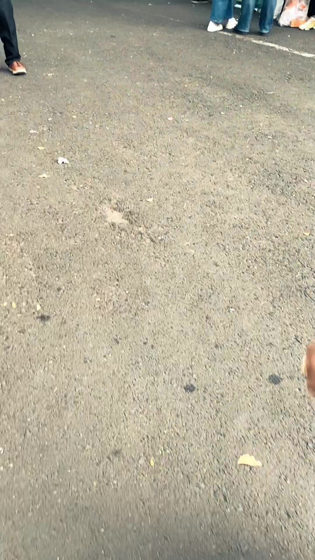 @trullyutami