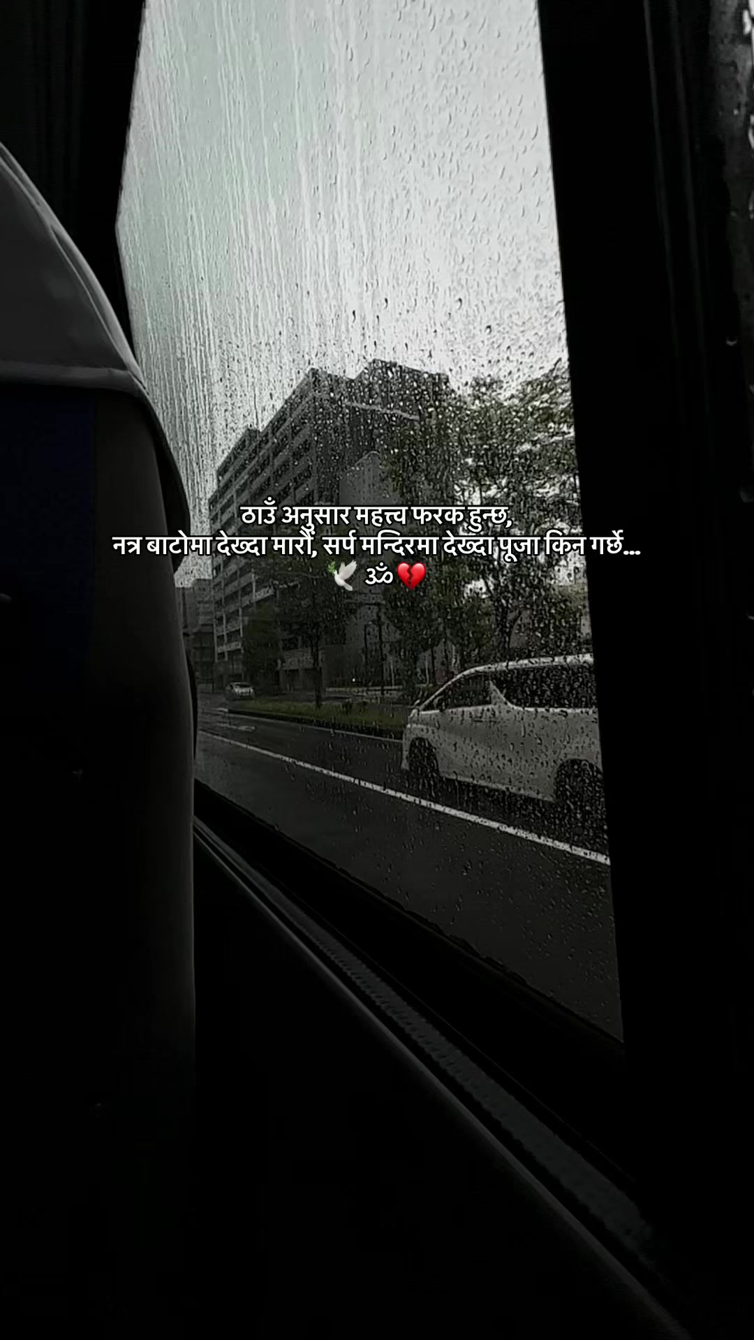 @🦋🕊️.....