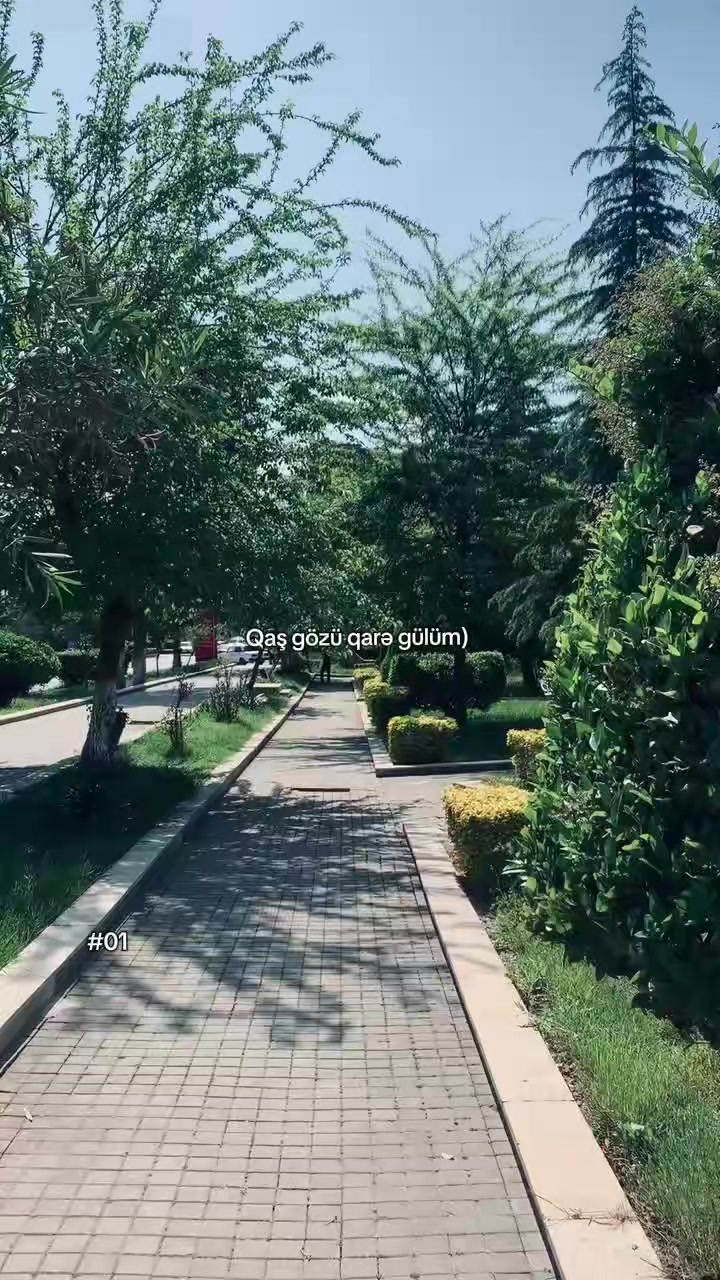 @𝟎𝟏