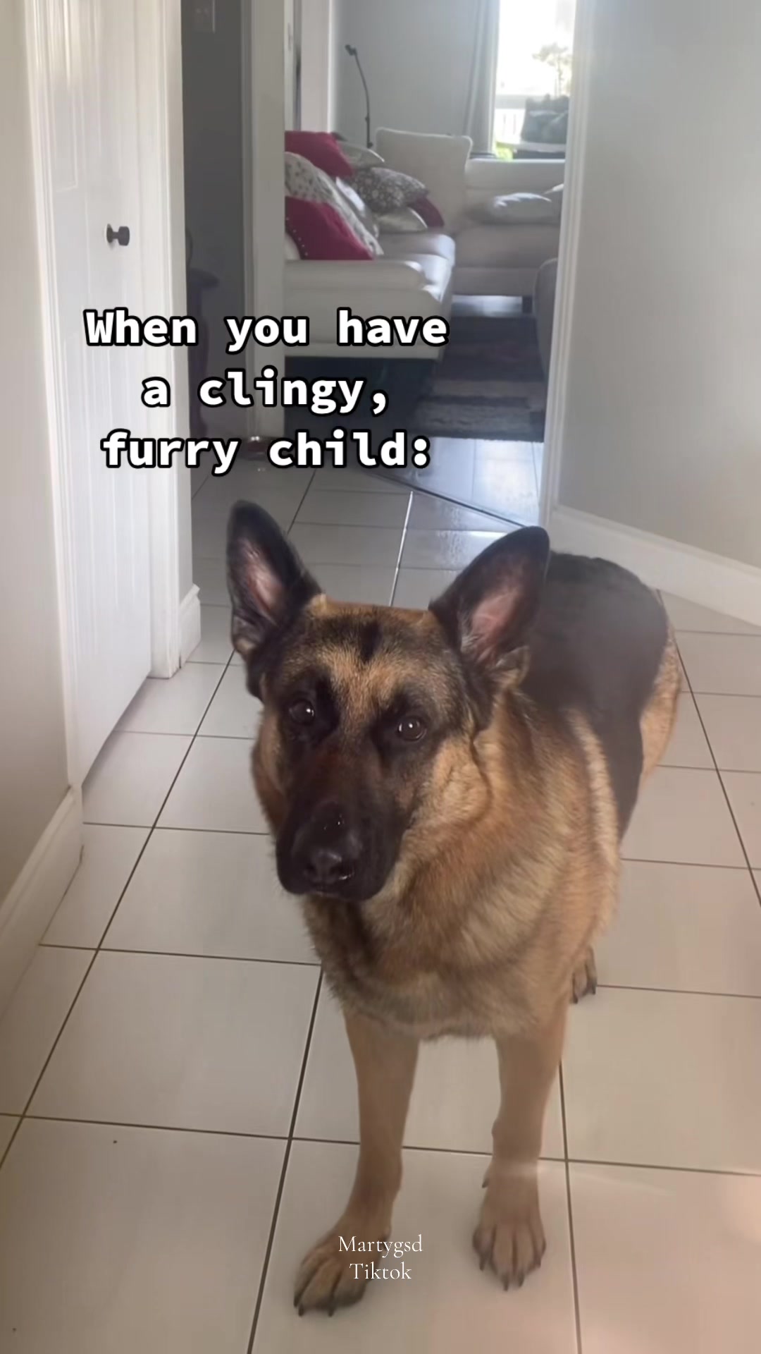 @Martygsd
