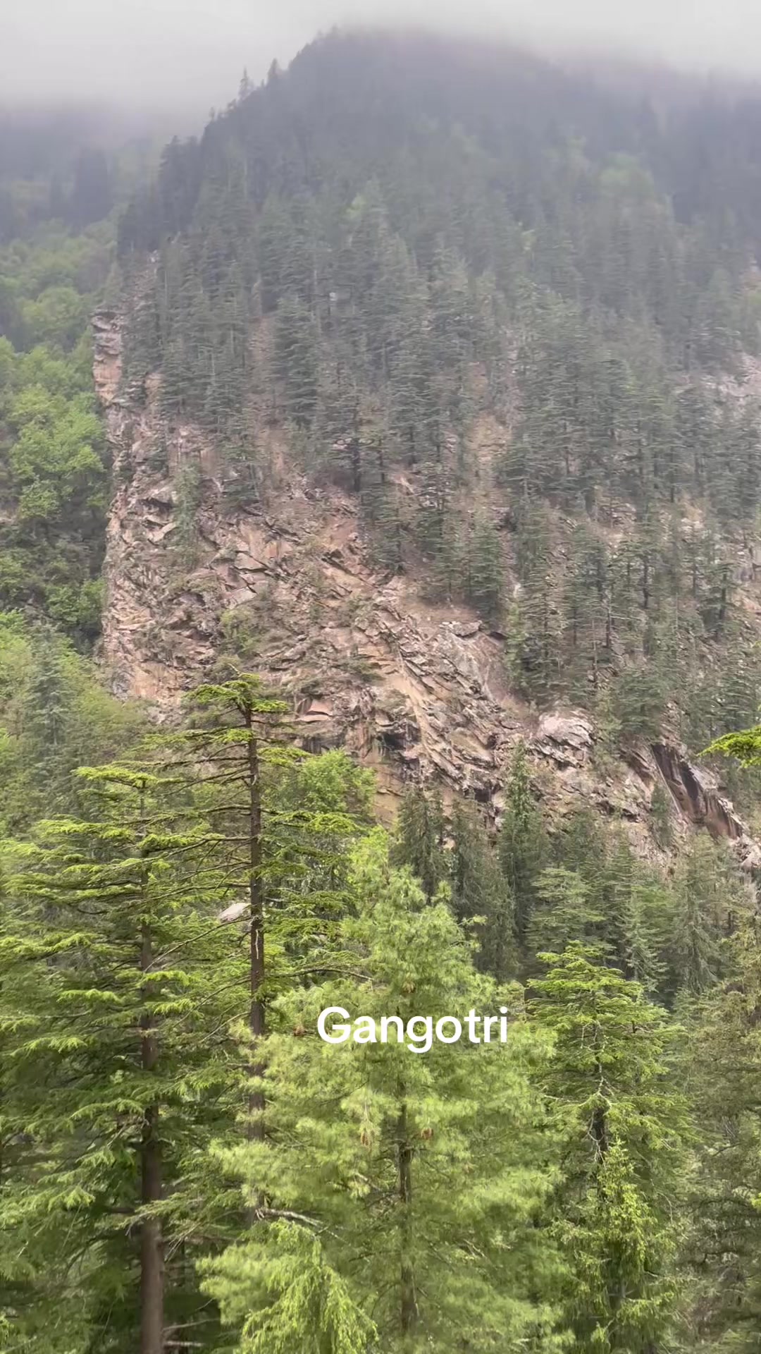 @purushottamlaxmia
