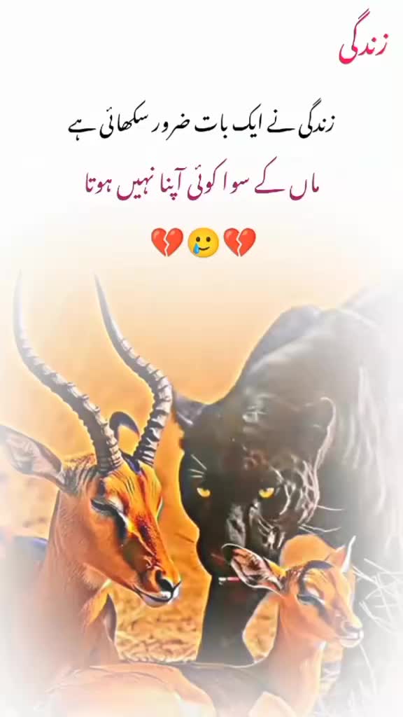 @baby ❤️❤️❤️