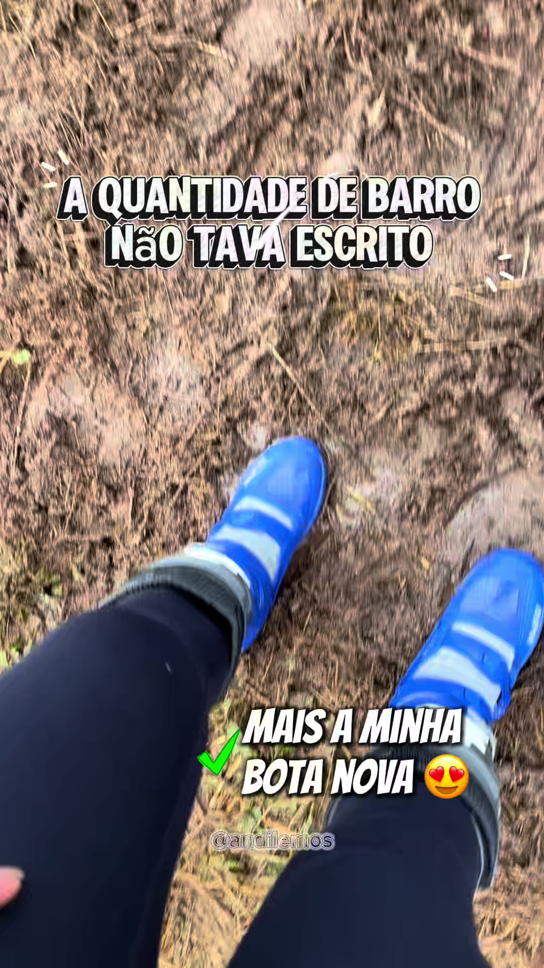 @Andressa Lemos