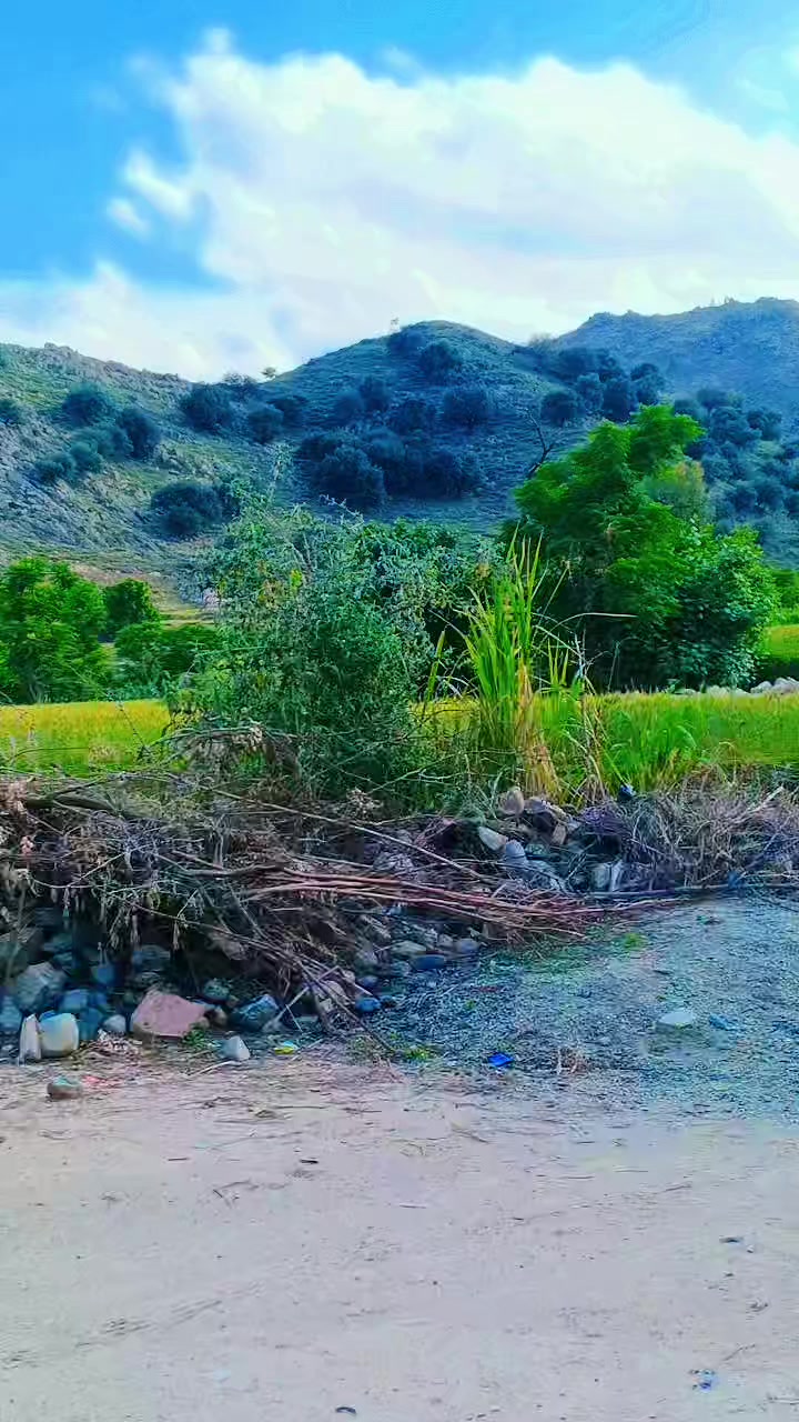 @Mehran。Akhon