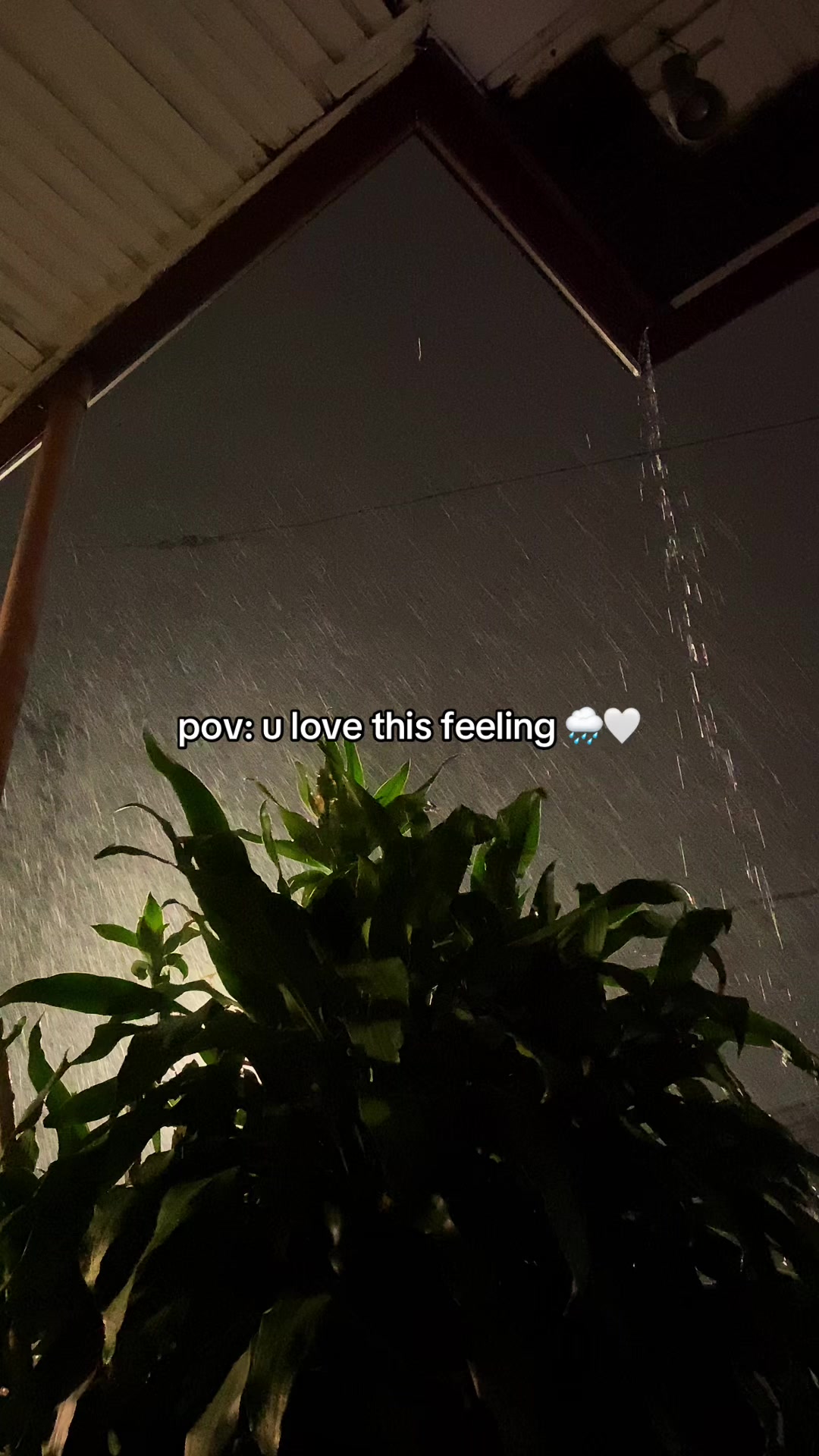 @lucy ❀