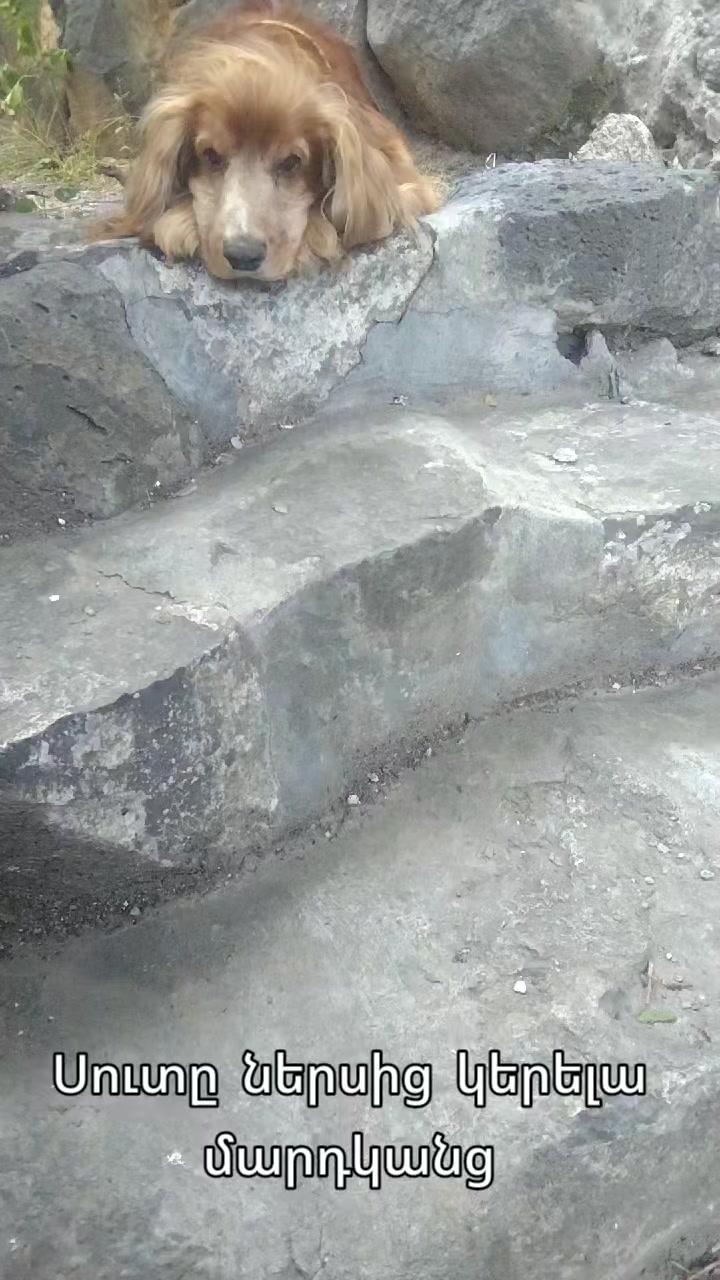 @Артур