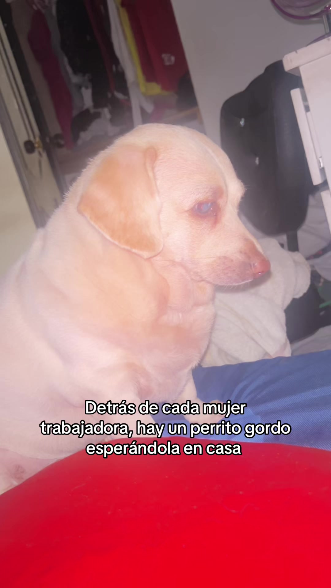 @Vale