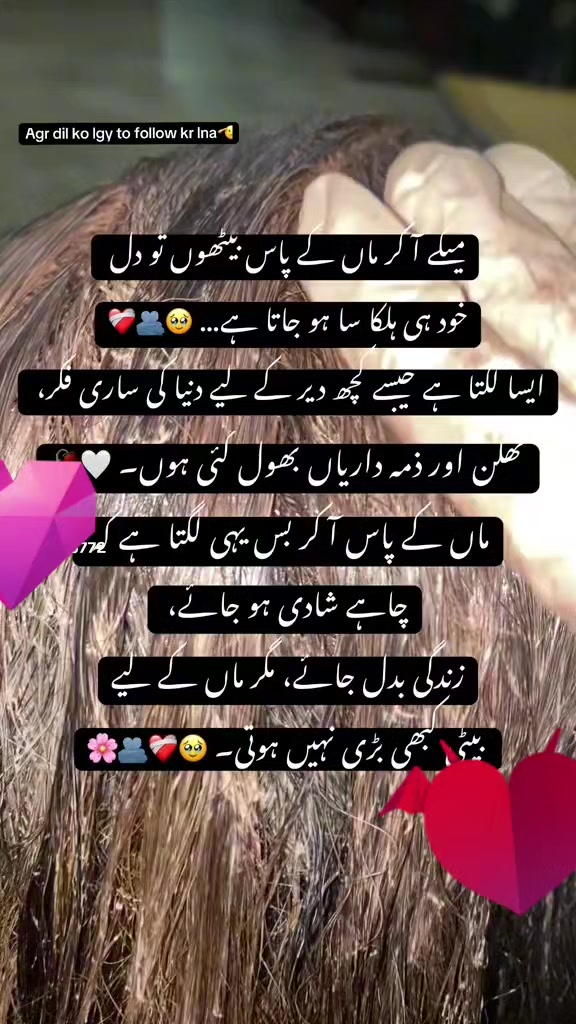 @awais palwisha