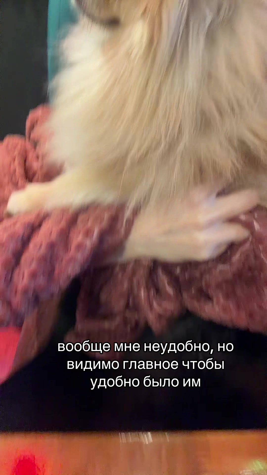 @к Вашим услугам