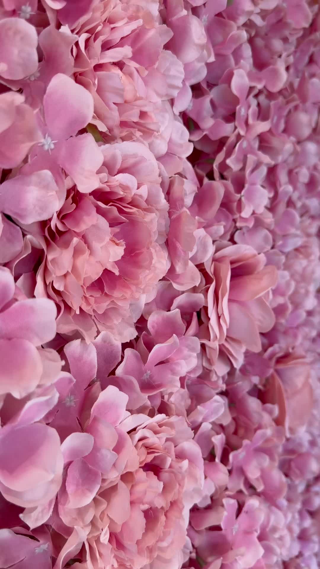 @poonam