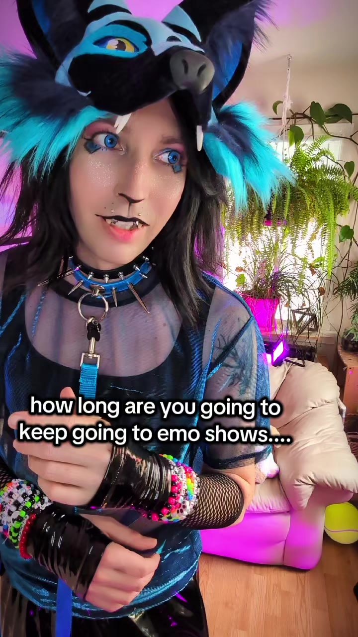 @Starlit Wolf