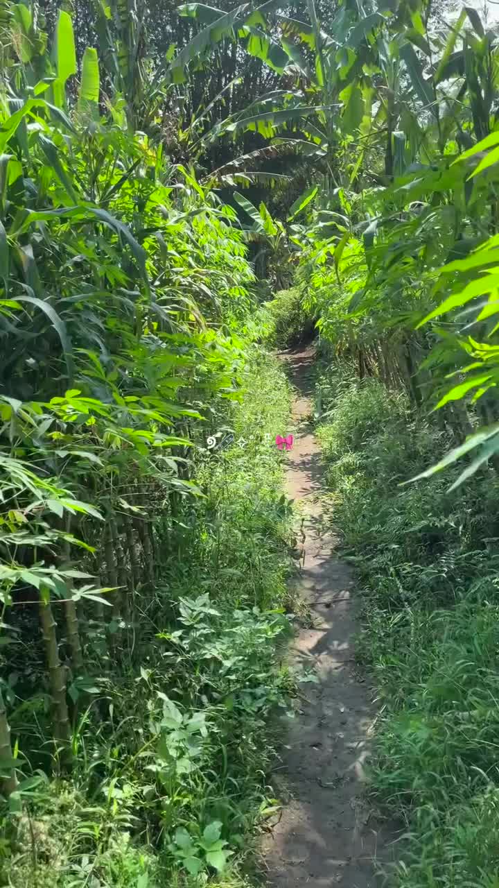 @santinadhif175