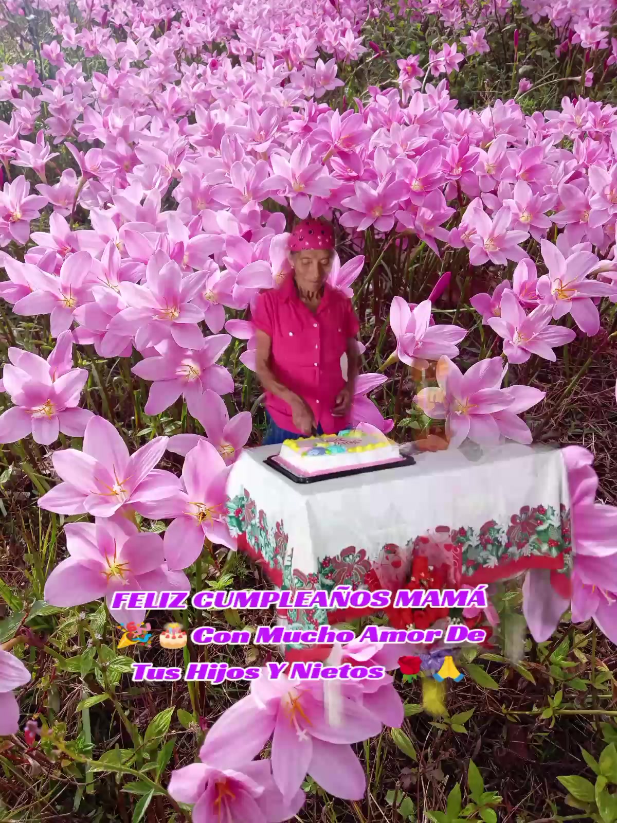 @Santy S&aacute;nchez HN 🇭🇳🇺🇲🇳🇮