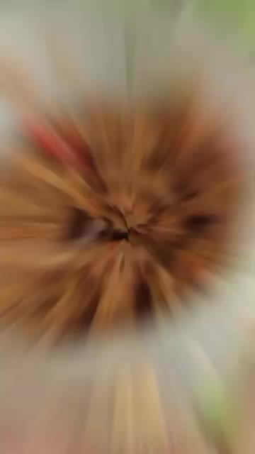 @๐๐คเผบโฉ๊ชσ๐ฝ๊ช แฅซแญก ๐ญ๐๐๊ชโฉเผป๐ค๐๏ธ