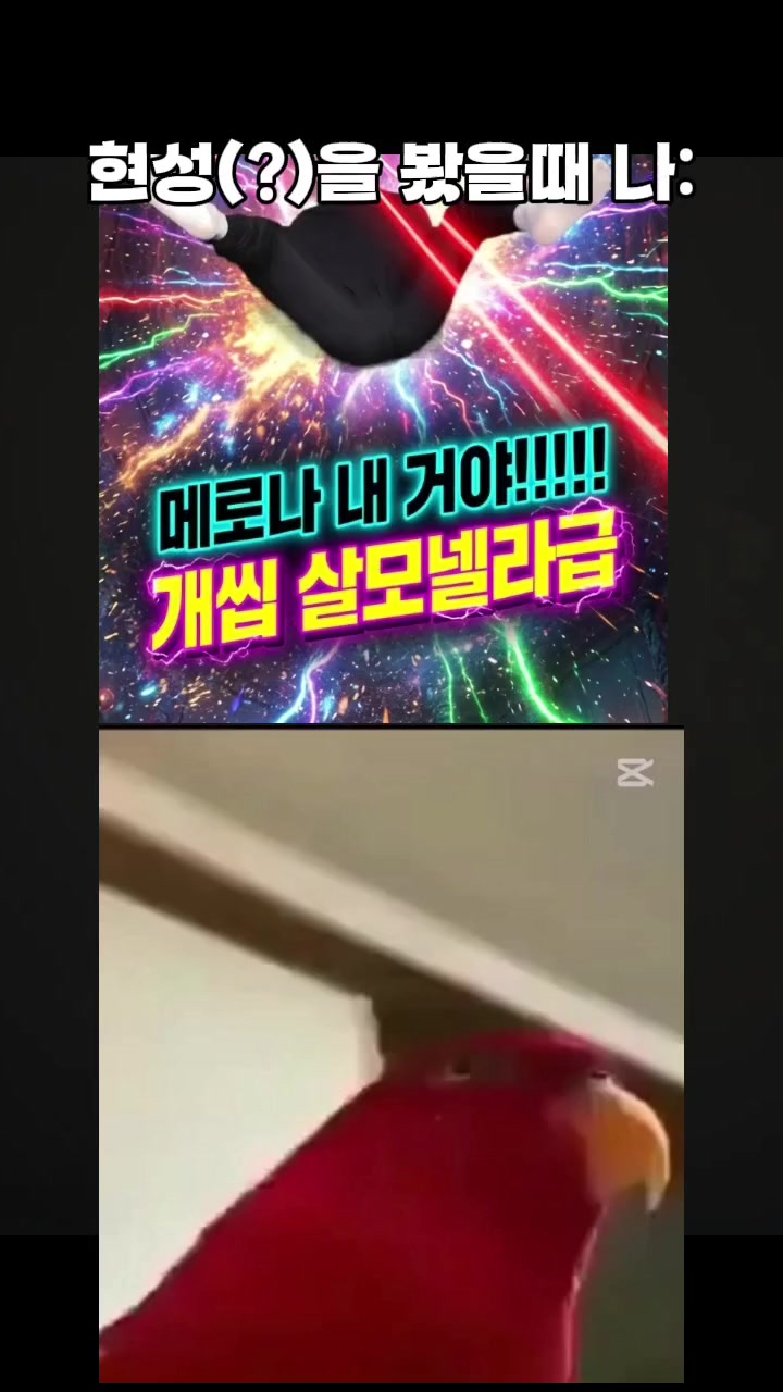 @그냥 평범한 랑붕이