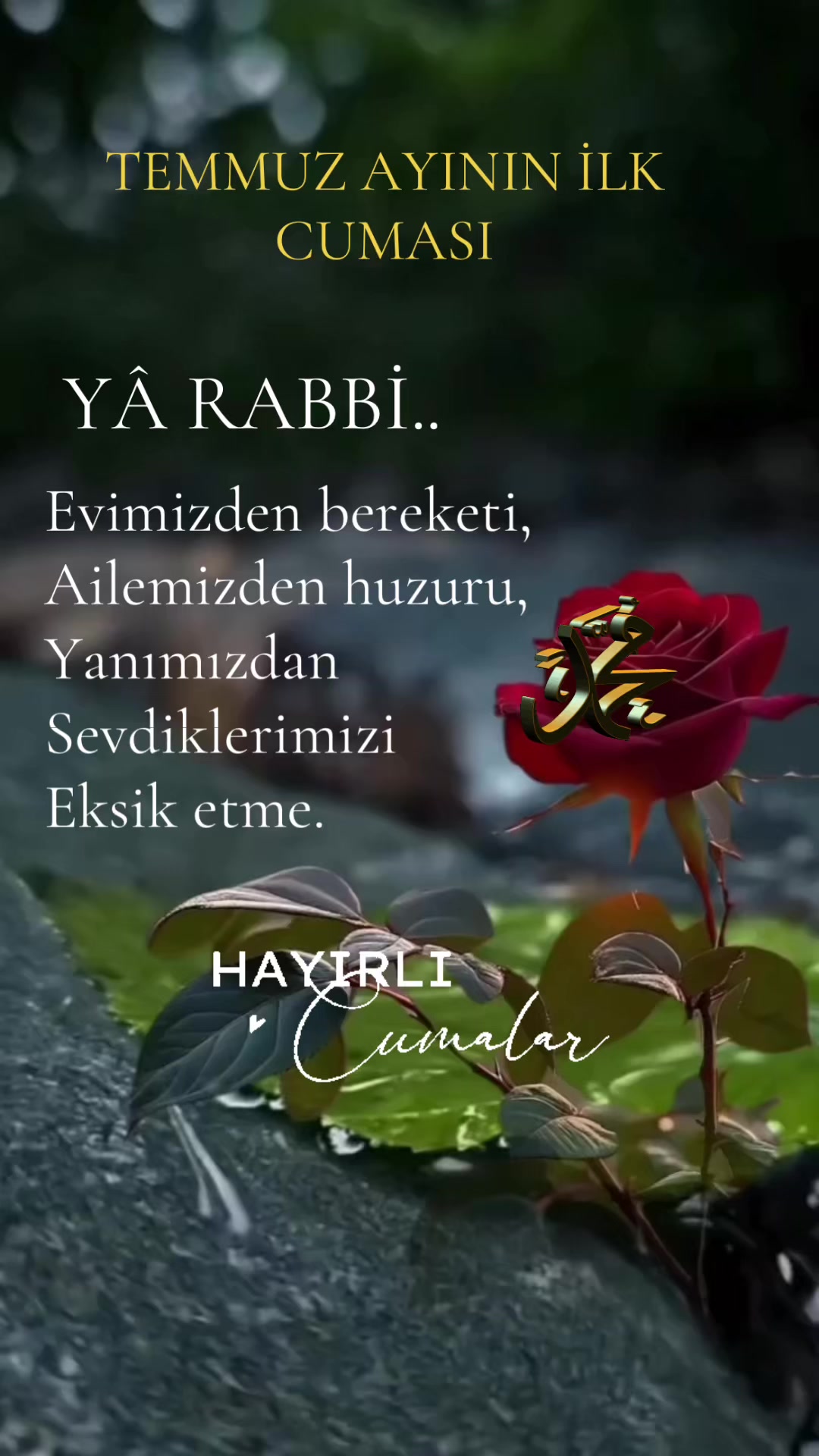 @Arzu safiye