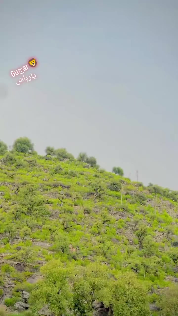 @🚩Guجar🚩888