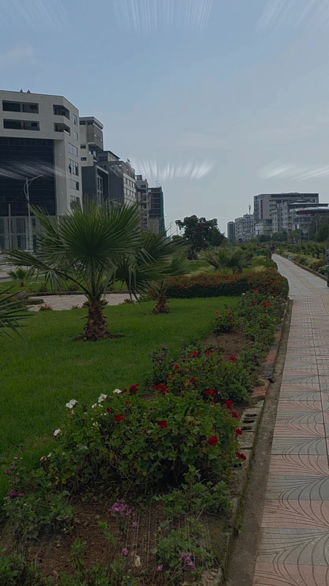 @Susuye