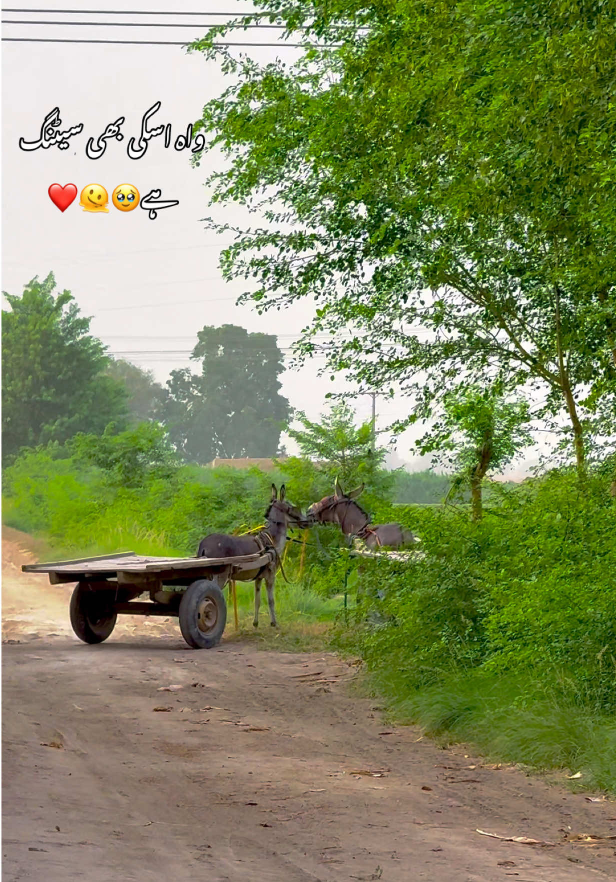 @&Uuml;Z&Auml;&Igrave;Ř_ R&Acirc;JP&Uuml;T🦅