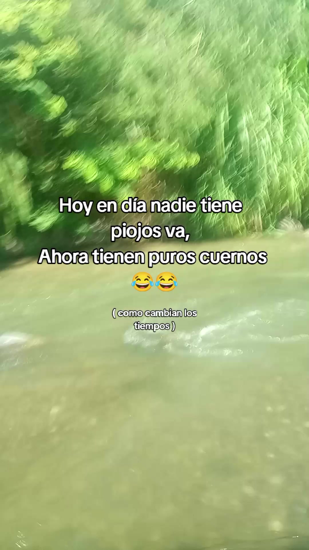 @Sebasti&aacute;n 74