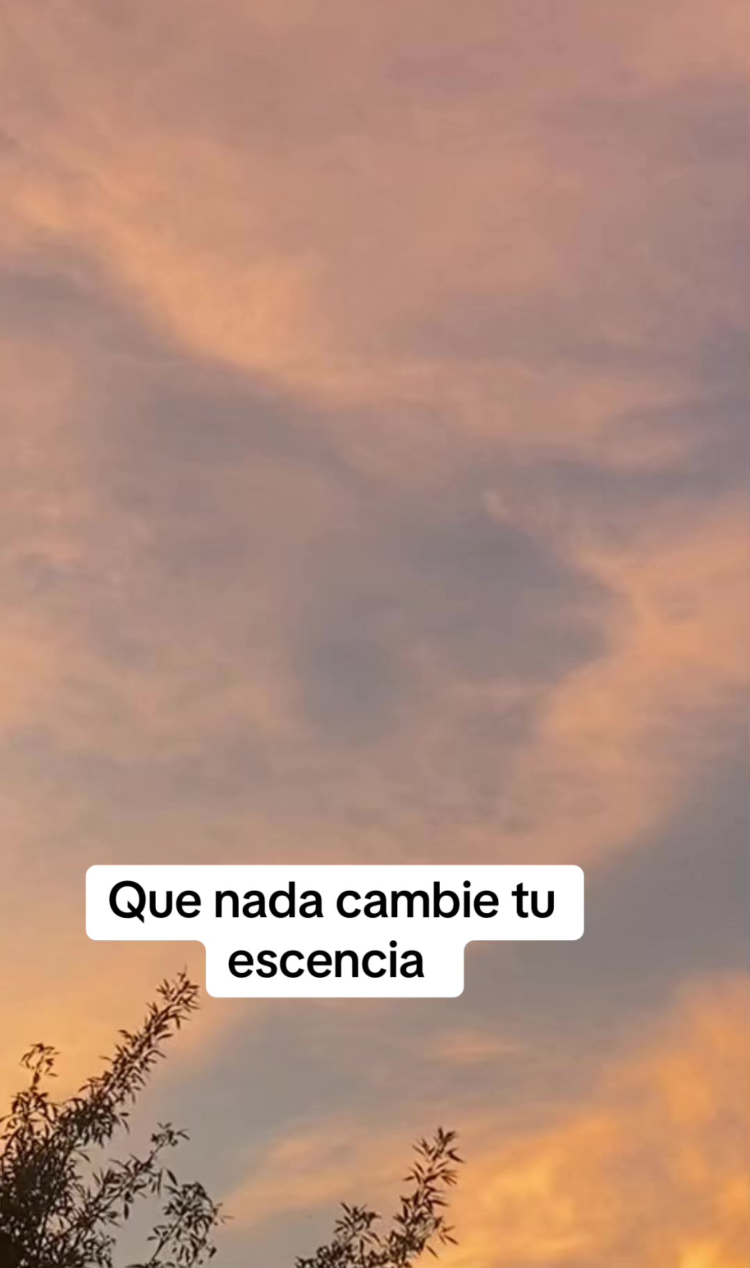 @pattyverdugomx