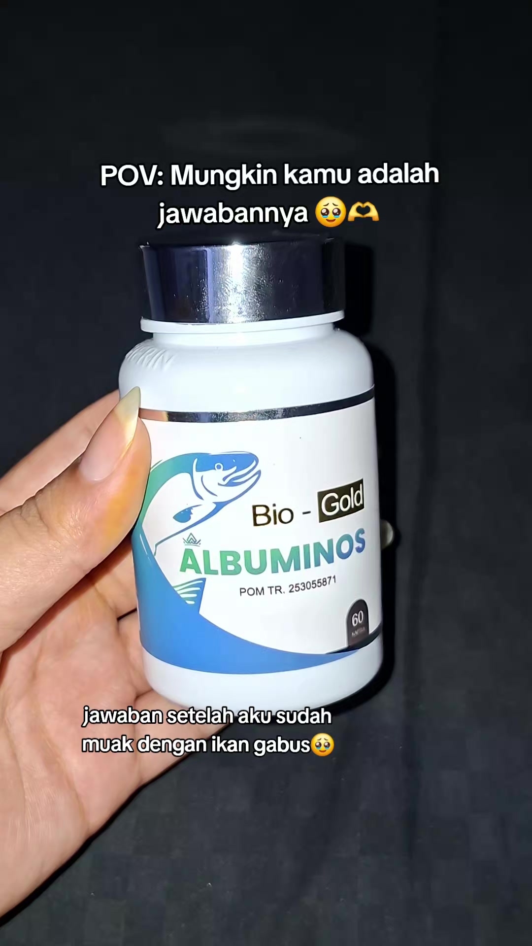 @aidasepti