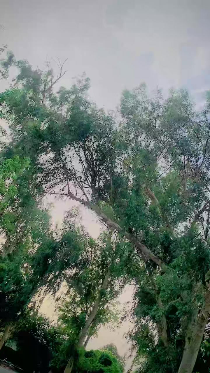 @︻╦デ╤━╼یا مخلص تھی یا یار نہ سڈ