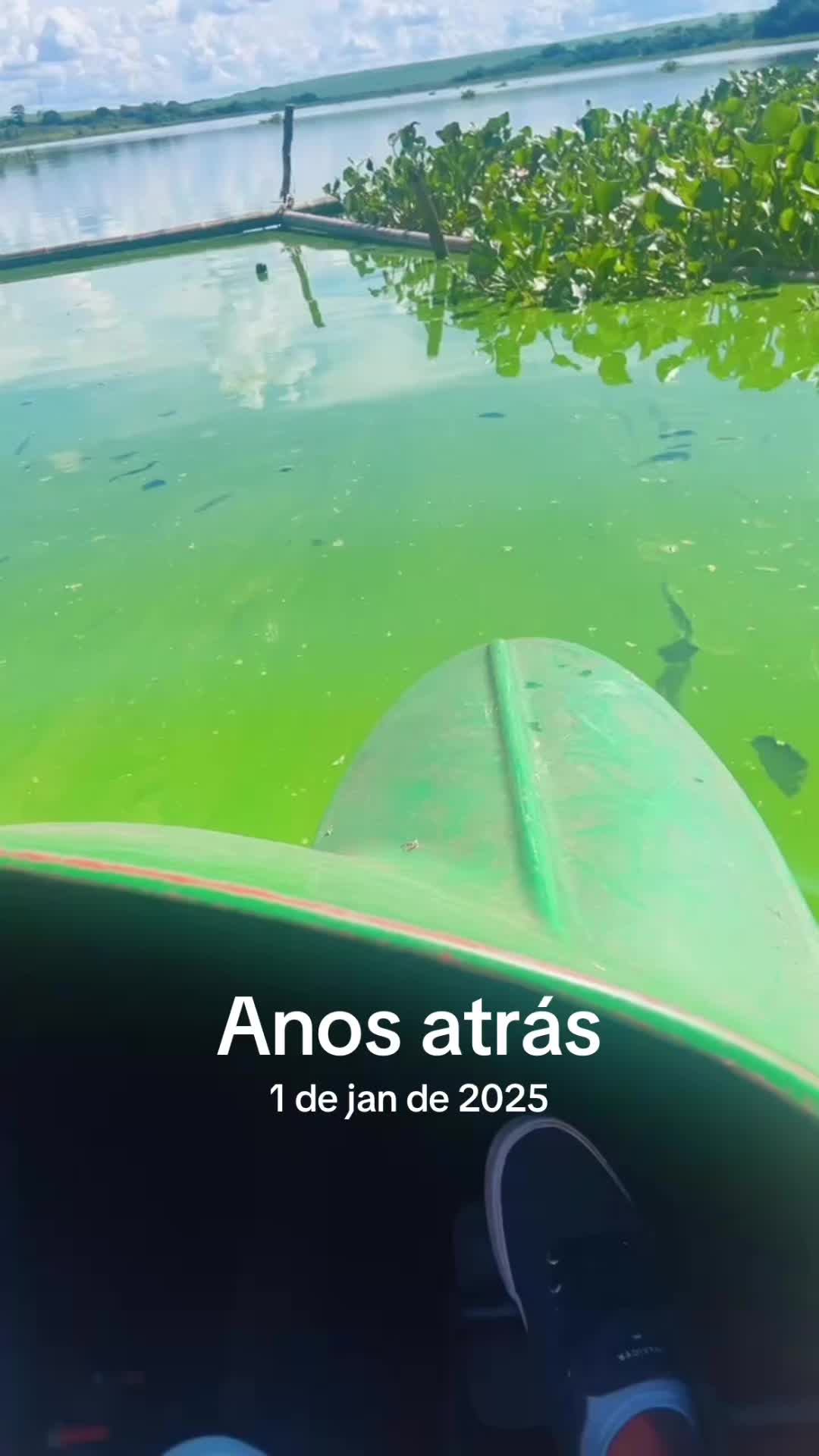 @Alex Nishikiori