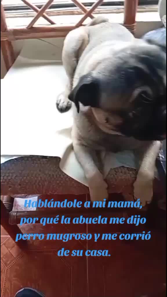 @chaparrita⭐💗