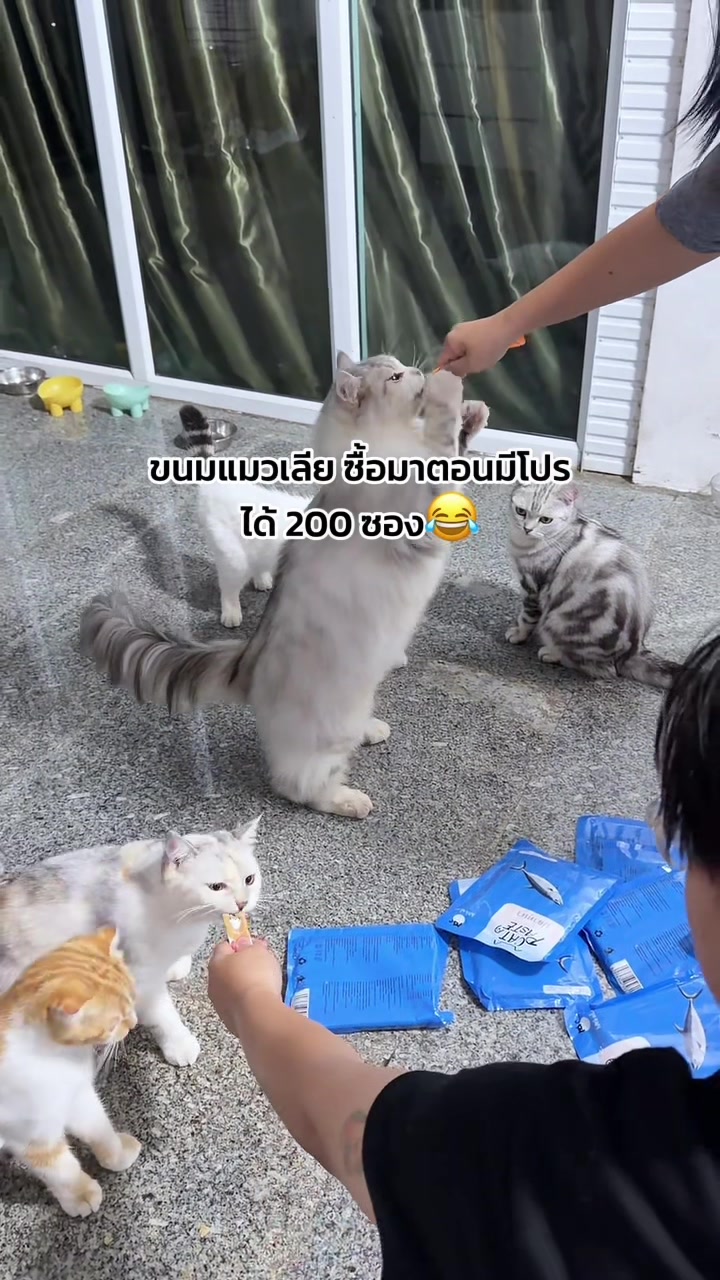 @พับแพร ติดห้อง