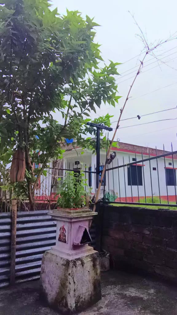 @Umesh Basnet