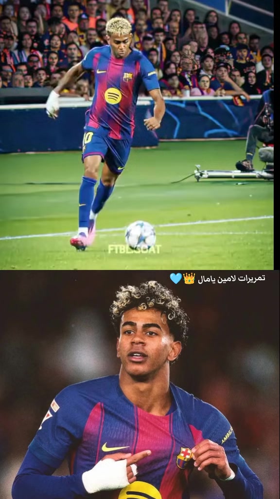@Ahmed Max 👑✨