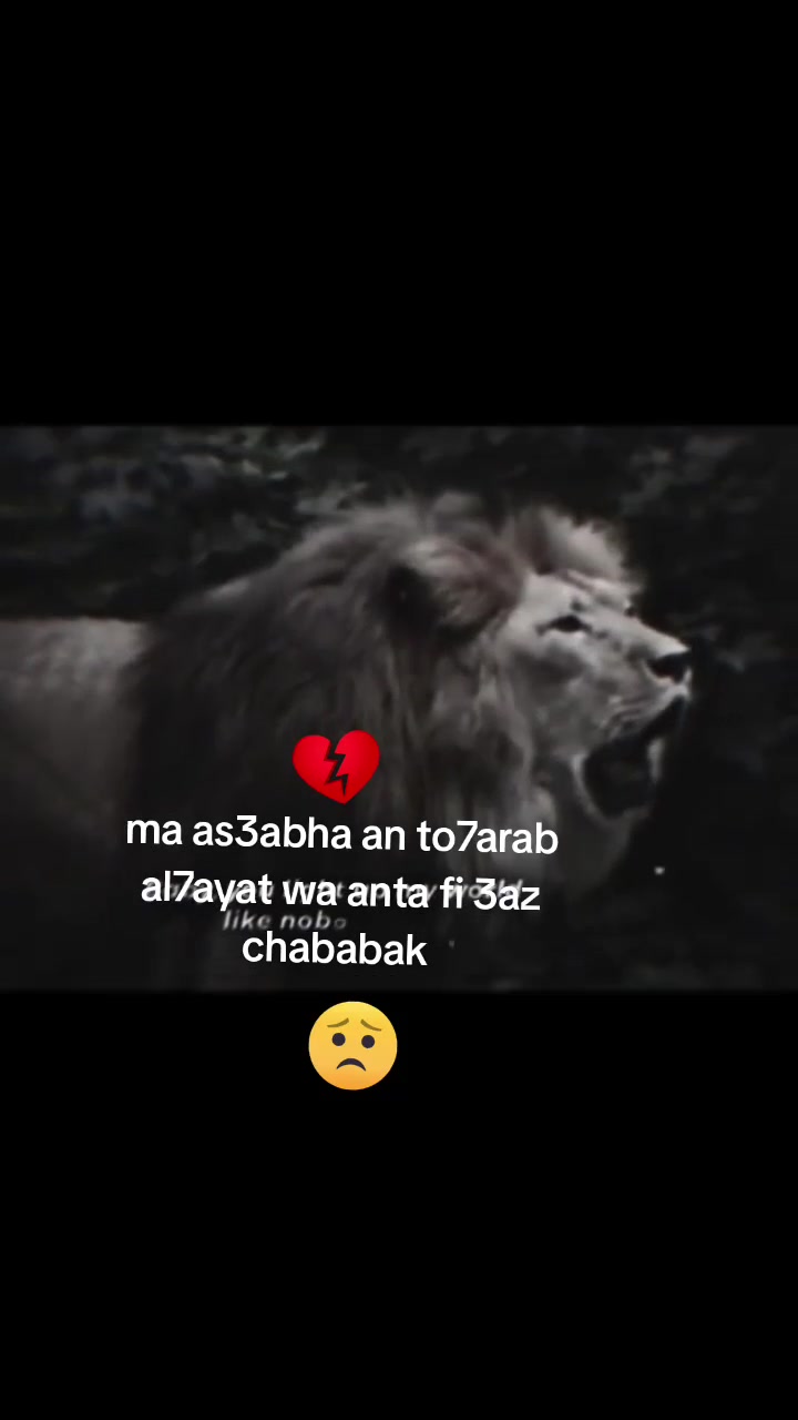 @youssefhajji
