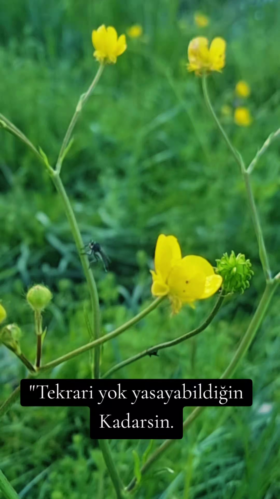 @๐๐๐ฎ๐ฌ๐ฎ ๐ถ๐ช๐ฟ๐ฒ๐ผ๐ฒ๐