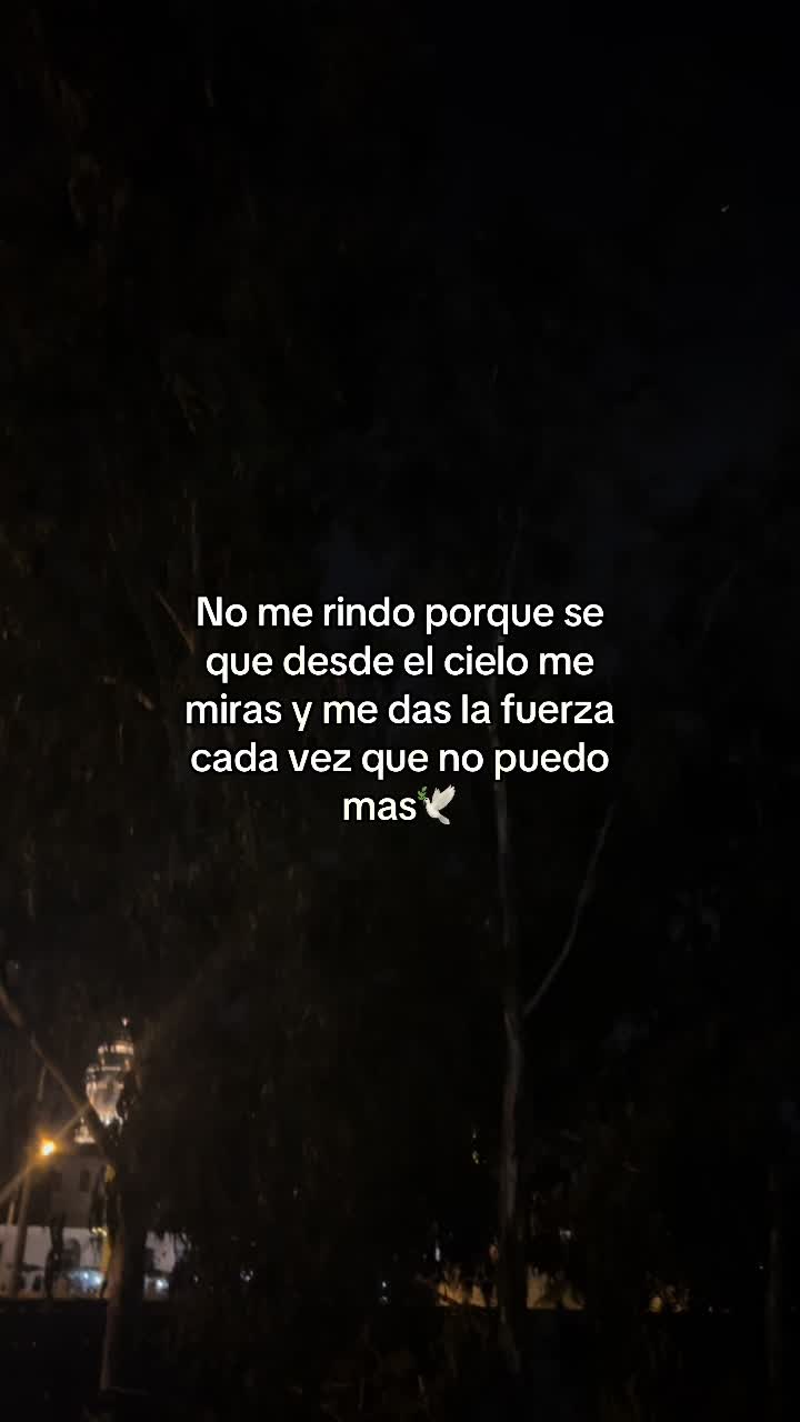 @Dg——20