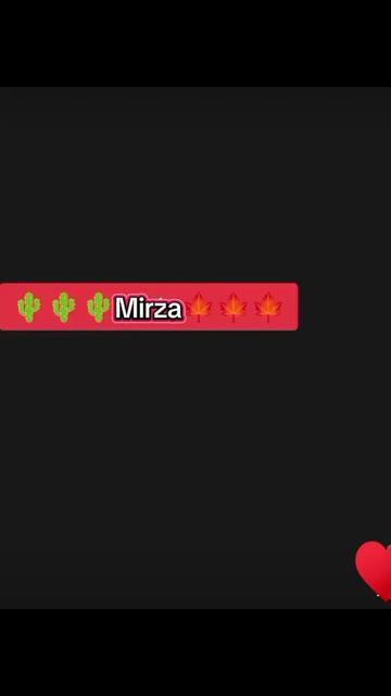 @miss mirza