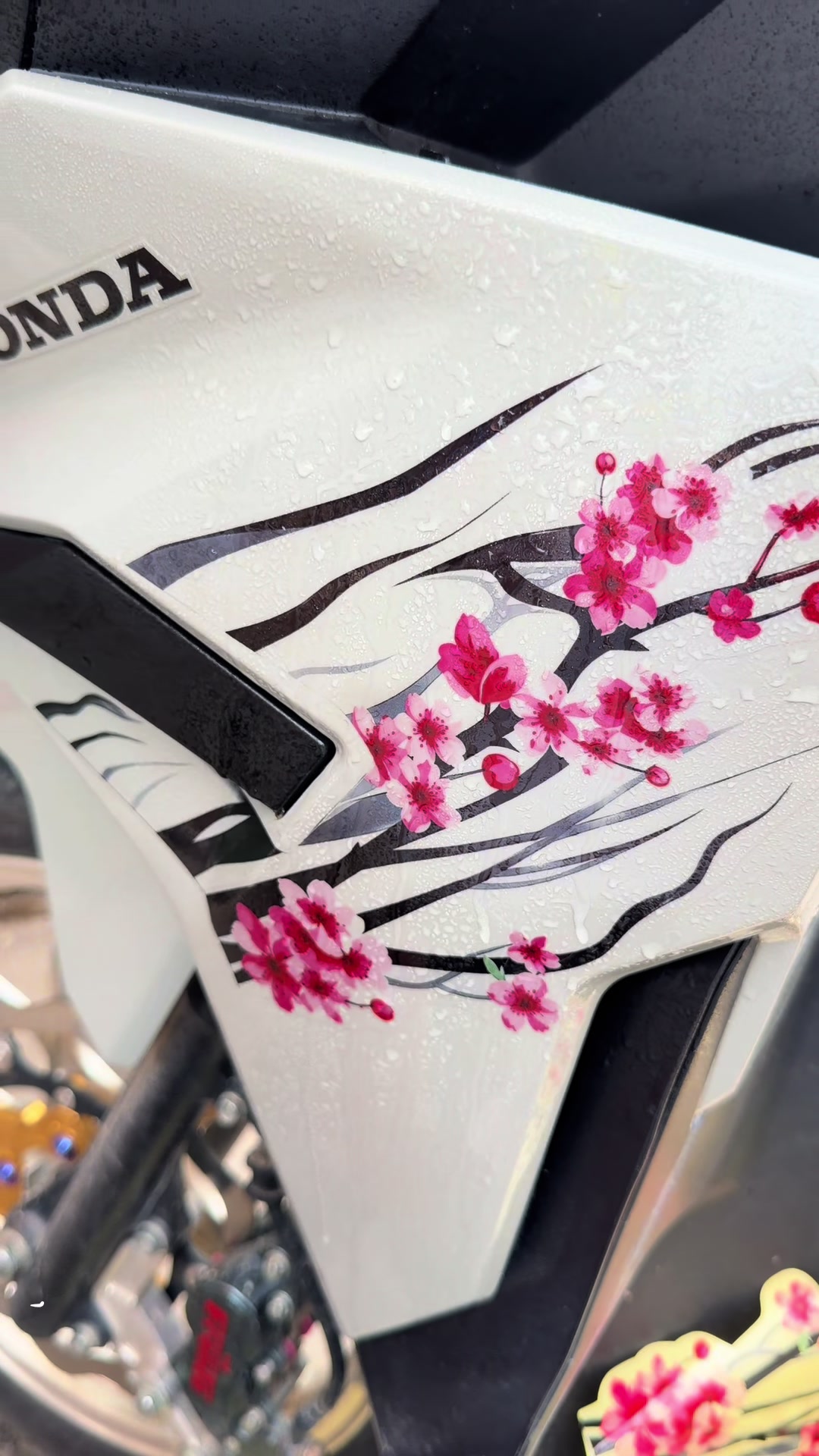 @NUN Sticker๐ฎ๐ฉ๐ค๐ป(แขแผแแนแ)๐๐ป