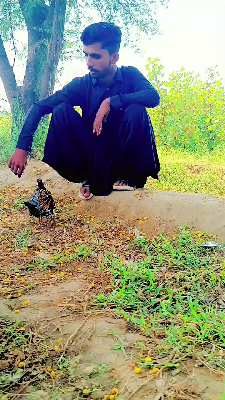 @Mir saleh