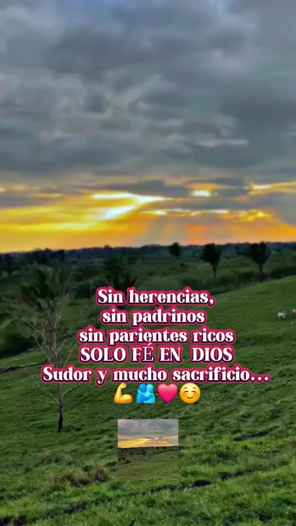 @fecho_57